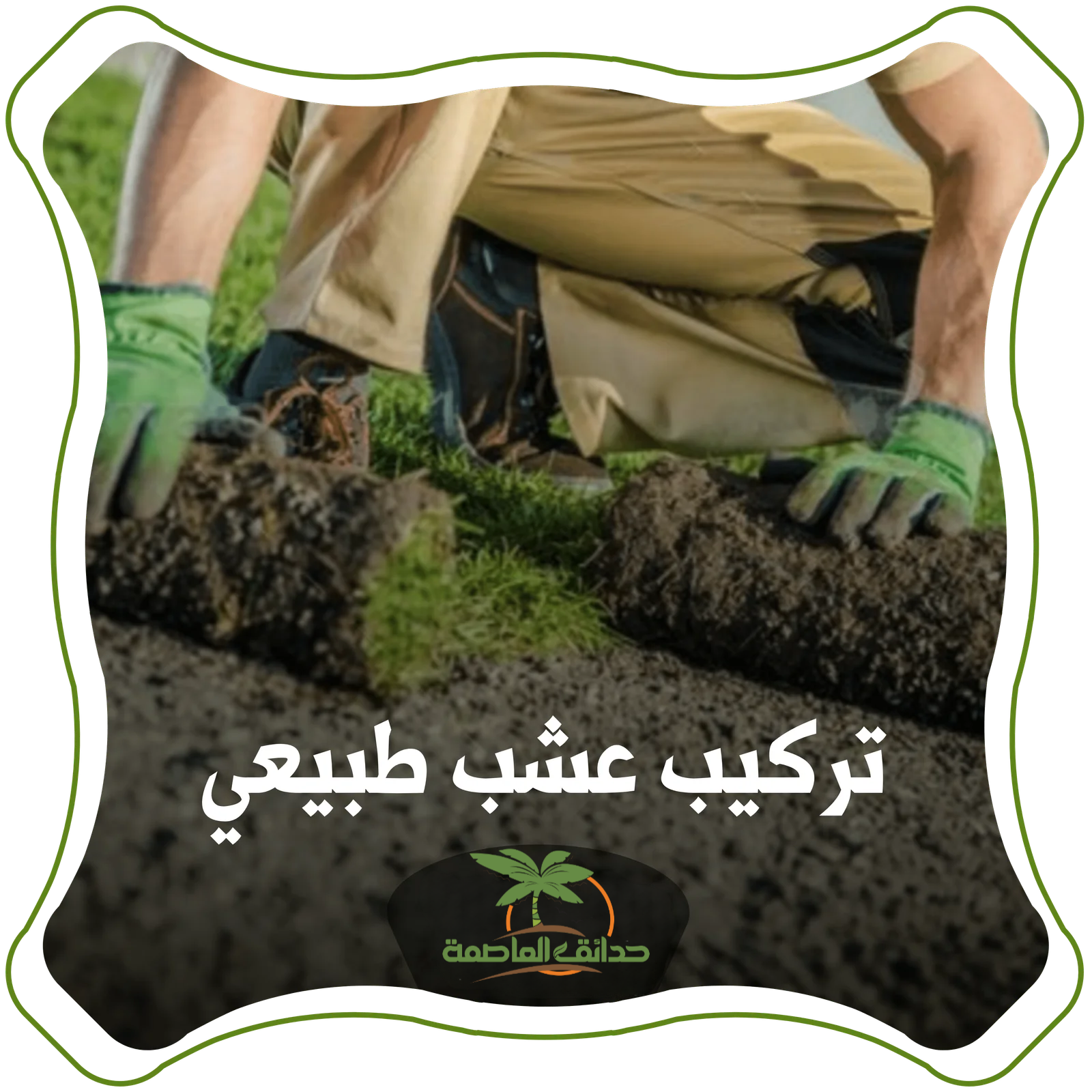 تركيب عشب طبيعي